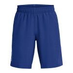 Boys' UA Tech™ Woven Wordmark Shorts 