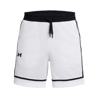 UA BASELINE PRO MESH SHORT 