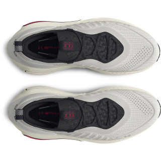 Men's UA Phantom 4 Shoes