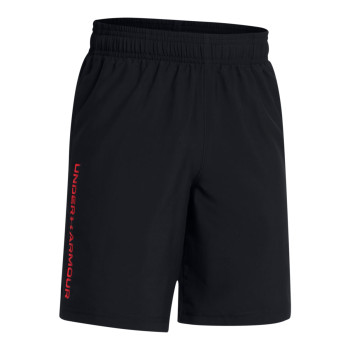 Boys' UA Tech™ Woven Wordmark Shorts 