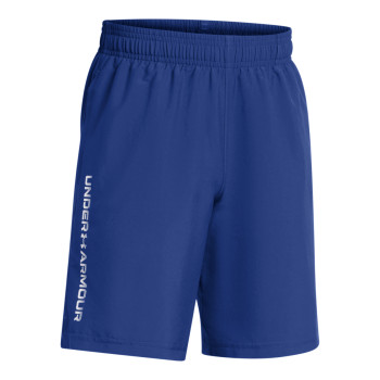 Boys' UA Tech™ Woven Wordmark Shorts 